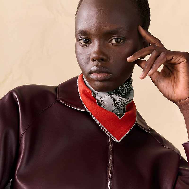 Ex-Libris scarf 45 - Brown | Hermès USA